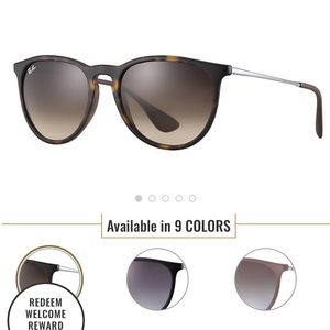 Ray Ban Erika Sunglasses